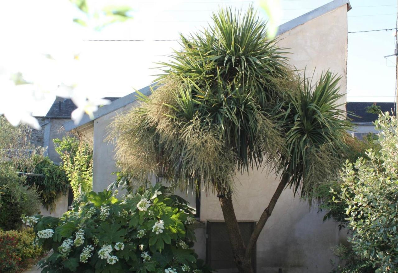 נאנט Duplex Confort Et Jardin Charmant מראה חיצוני תמונה
